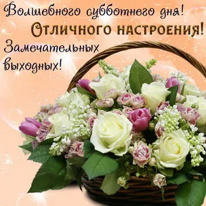 Открытка Открытки на субботу - Букет цветов в корзине: белые розы и фиалки | Красивая открытка #99