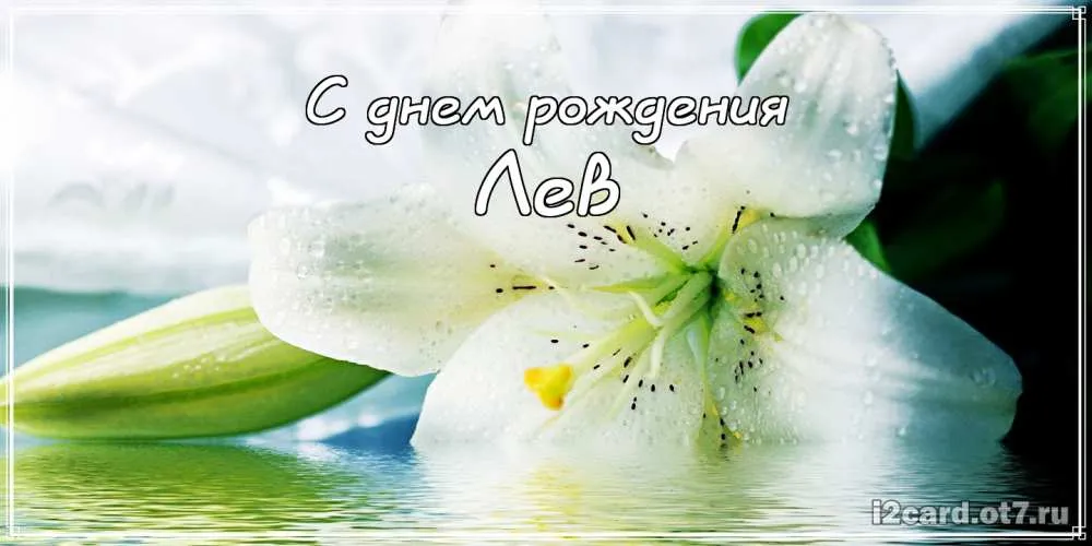 Открытка Открытки с именем Лев  - Открытка с белым цветком лилия | Красивая открытка #193