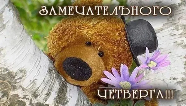 Открытка Удачного четверга - Медвежонок в шляпе на фоне березы и цветов | Красивая открытка #17