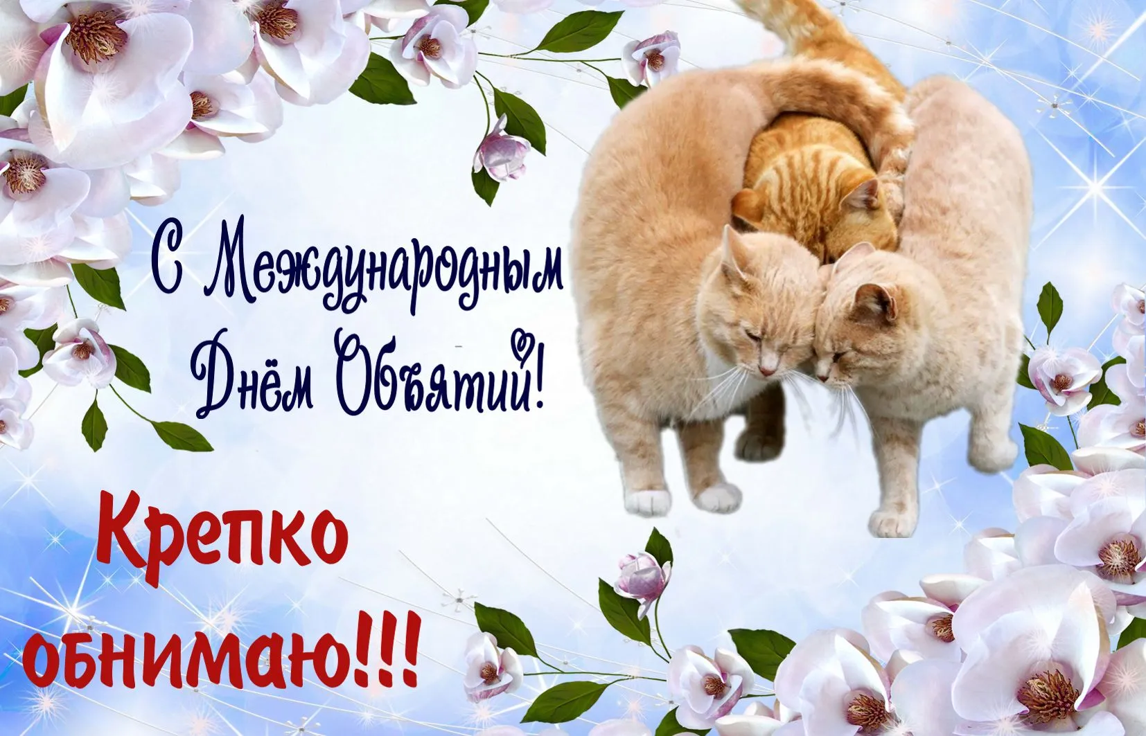 Открытка С днём объятий - С Днём котиков! Открытка с милым котенком | Красивая открытка #34