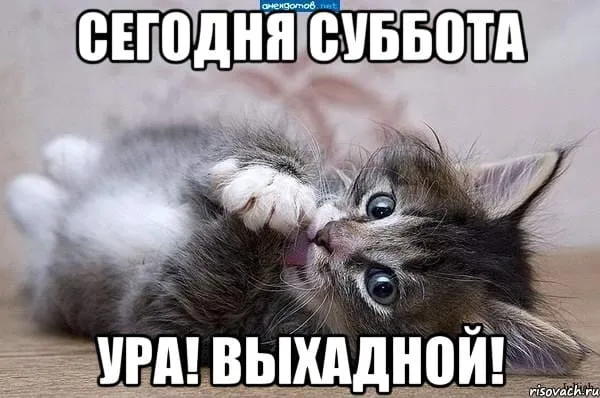 Открытка Открытки на субботу - Открытка с котенком: Ура, выходной! | Красивая открытка #213