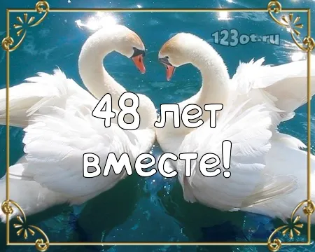 Открытка Открытки на Аметистовую свадьбу 48 лет - Открытка с лебедями  поздравление с юбилеем | Красивая открытка #3