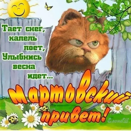 Открытка С приветствием - Весёлый кот на фоне цветов: открытка с весенним настроением | Красивая открытка #44