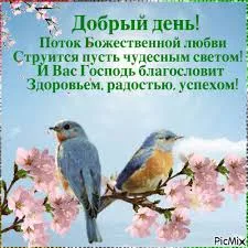 Открытка Открытки хорошего дня - Открытка с птицами на ветке цветущей сакуры | Красивая открытка #157