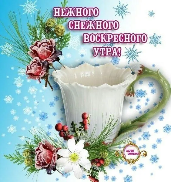 Открытка Доброе утро воскресенье - открытка с чашкой и цветами | Красивая открытка #38