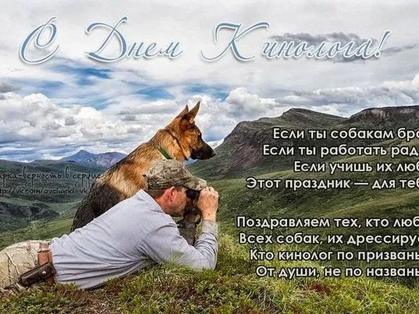 Открытка Открытки с днем кинолога - Открытка с немецкой овчаркой | Красивая открытка #5