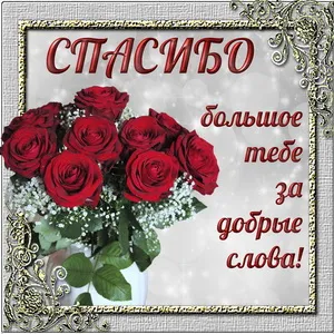 Открытка Спасибо - Открытка с розами и надписью "Спасибо" | Красивая открытка #74