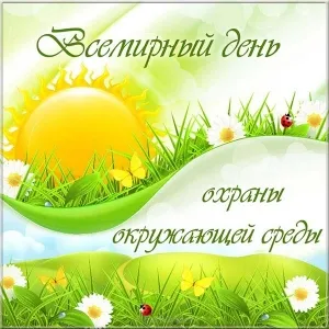 Открытка День эколога - Открытка: Солнце, трава, ромашки, бабочки, божья коровка | Красивая открытка #30
