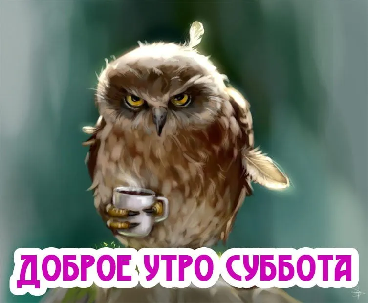 Открытка Выходные - Открытка с совой и кофе: добрая утренняя иллюстрация | Красивая открытка #91