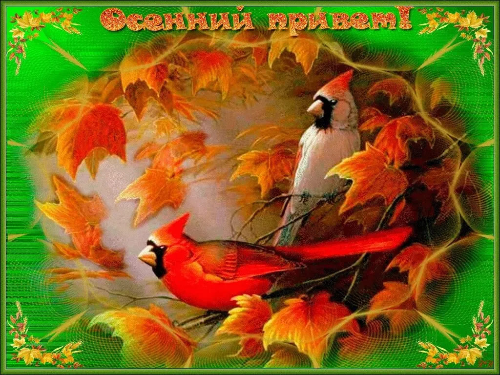 Открытка осенний привет - Птицы на осеннем дереве - открытка с любовью | Красивая открытка #44