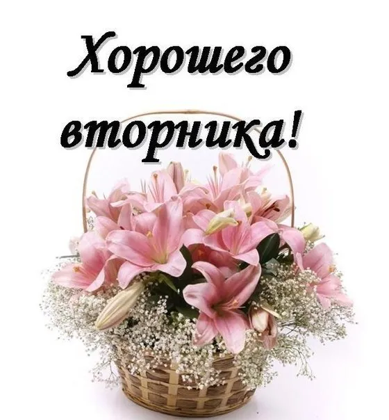 Открытка Удачного вторника - Открытка с лилиями в плетеной корзинке | Красивая открытка #3