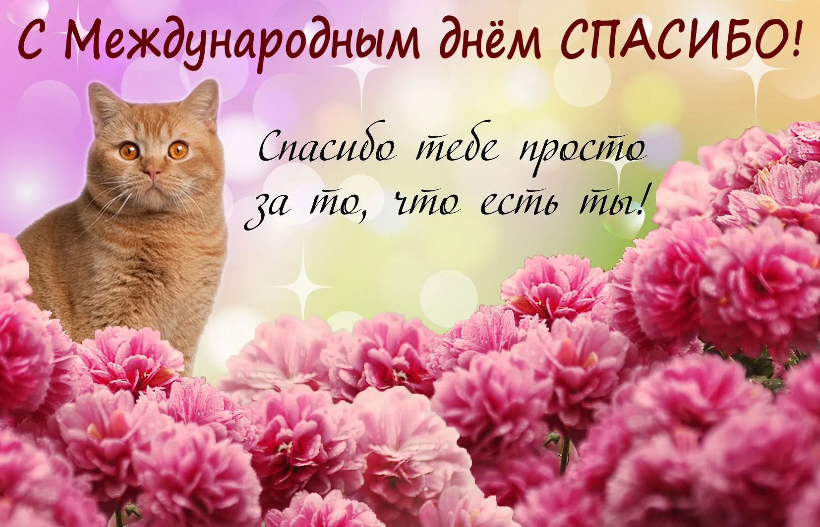 Открытка День спасибо - Котенок и розы: Открытка с милым сюрпризом | Красивая открытка #112