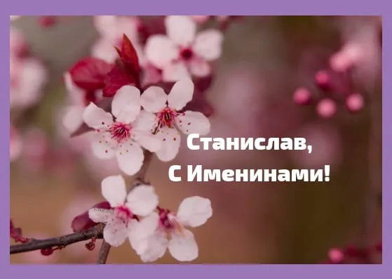 Открытка Открытки с именем Станислав  - Открытка с цветами: С Днем Рождения! | Красивая открытка #47