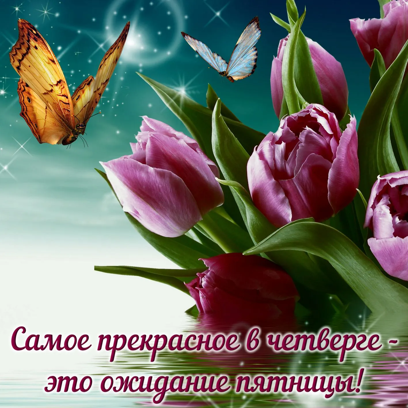 Открытка С четвергом - Открытка с тюльпанами и бабочками | Красивая открытка #44