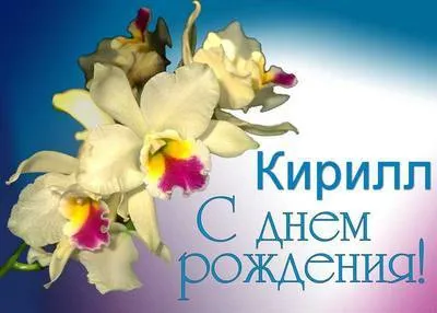 Открытка Открытки с именем Кирилл  - Открытка с орхидеями: нежные поздравления с днем рождения | Красивая открытка #154