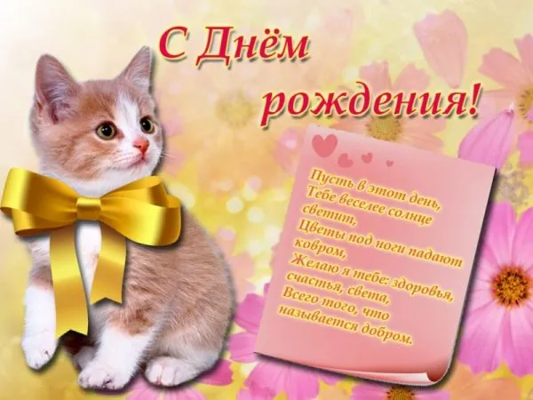 Открытка С кошками - Открытка с котенком: С Днем Рождения! | Красивая открытка #9