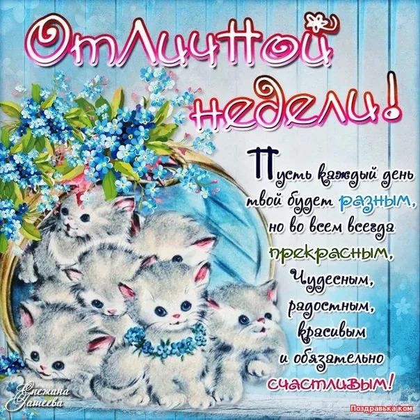 Открытка Хорошей недели - Открытка с котятами и цветами: Поздравления с праздником | Красивая открытка #58
