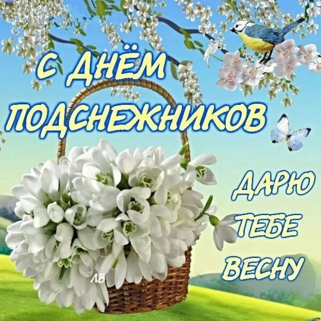 Открытка С днём подснежника - Белые цветы в корзине на природе | Красивая открытка #70