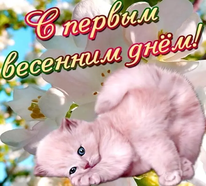 Открытка  С первым днем весны - Открытка с котенком и бабочкой | Красивая открытка #47