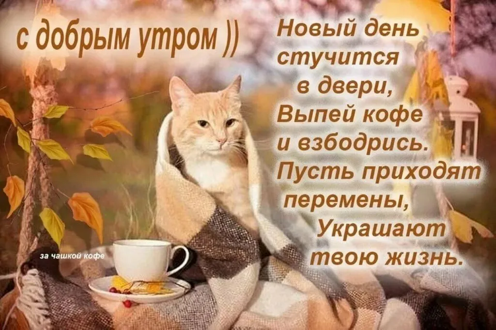 Открытка открытки с добрым утром - Утро с котиком: кофе и хорошее настроение | Красивая открытка #188