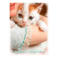 Открытка Открытки с днем доброты - День Доброты: Открытка с котенком | Красивая открытка #45