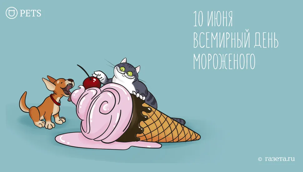 Открытка День мороженного - Открытка с котенком и щенком на мороженом | Красивая открытка #16