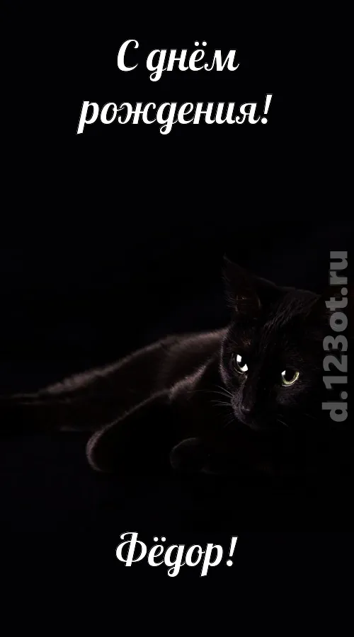 Открытка Открытки с именем Федор - Чёрный кот: открытка с котиком | Красивая открытка #39