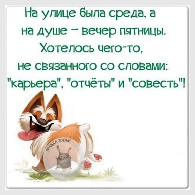 Открытка Открытки на среду - Забавная открытка с лисенком и пузырем | Красивая открытка #151