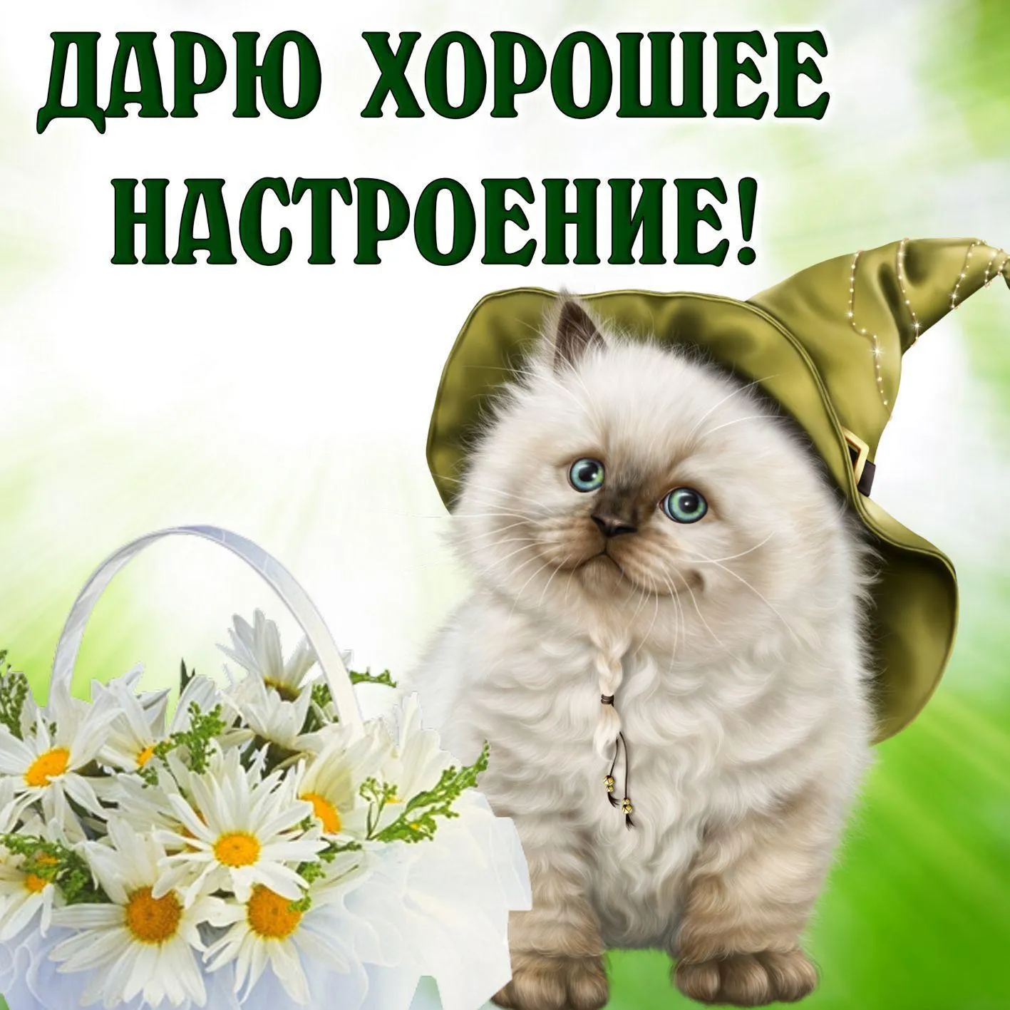 Открытка хорошего настроения - Открытка с котенком и ромашками | Красивая открытка #6