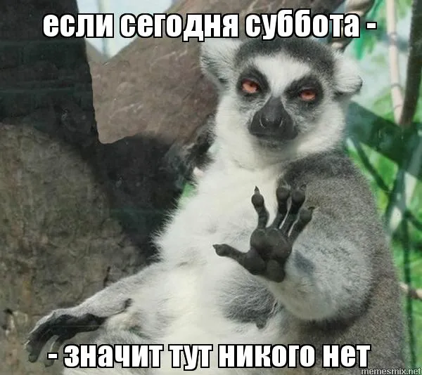Открытка Открытки на субботу - Лемур: "Значит, тут никто!" | Красивая открытка #54