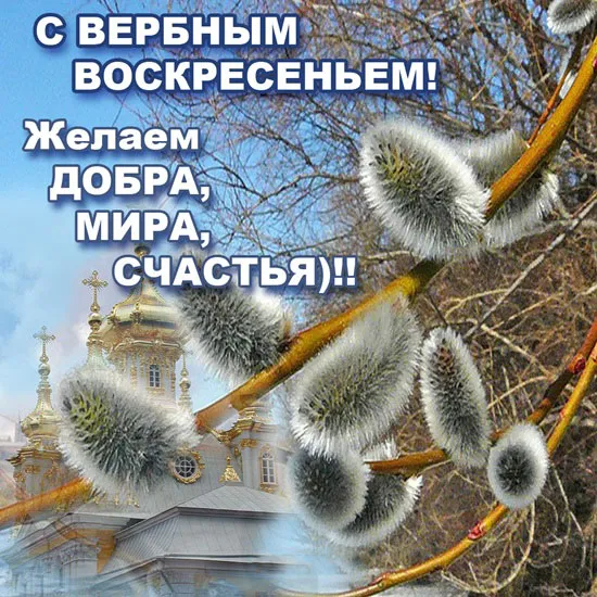 Открытка С вербным воскресеньем - Церковь под ивами. Праздничная открытка. | Красивая открытка #162