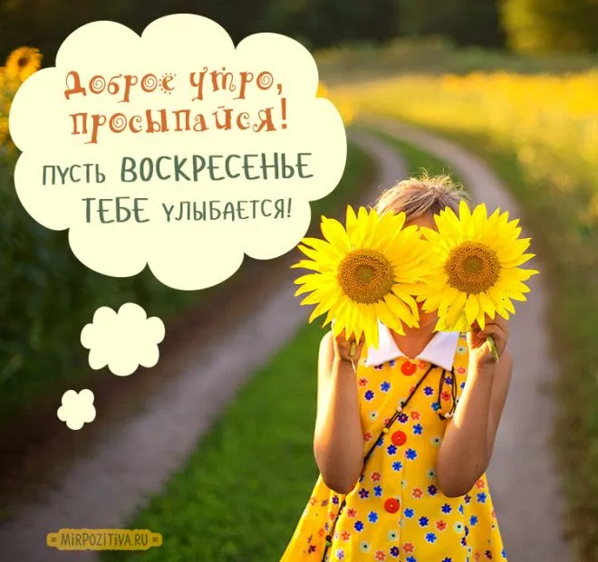 Открытка Открытки на воскресенье - Девочка с подсолнухами: открытка с солнцем и радостью | Красивая открытка #116