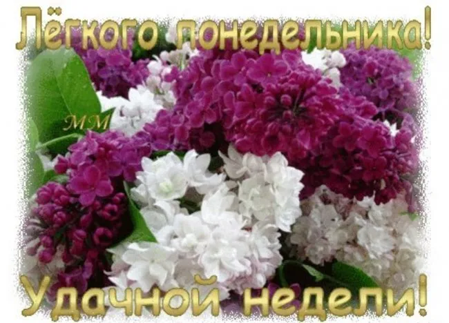 Открытка Дни недели - Открытка с цветущей сиренью | Красивая открытка #2