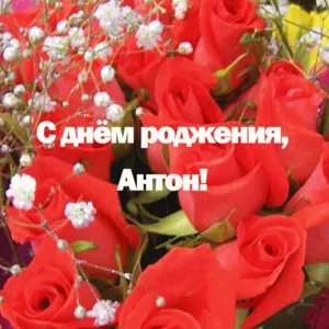 Открытка открытки с именем Антон  - Открытка с красными розами и надписью «С днем рождения!» | Красивая открытка #81