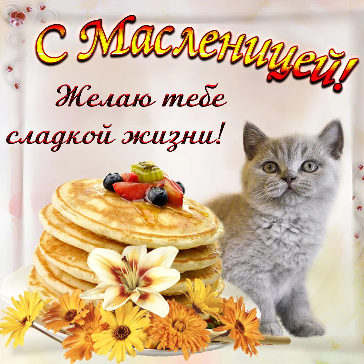 Открытка Масленица - Открытка с котиком и блинами  Праздничное поздравление | Красивая открытка #178