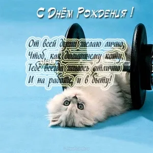 Открытка С кошками - Открытка с котенком и гантелями | Красивая открытка #38