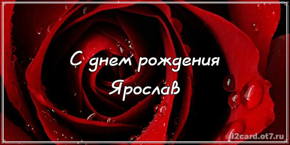 Открытка Открытки с именем Ярослав  - Открытка "С днем рождения" с красной розой | Красивая открытка #185
