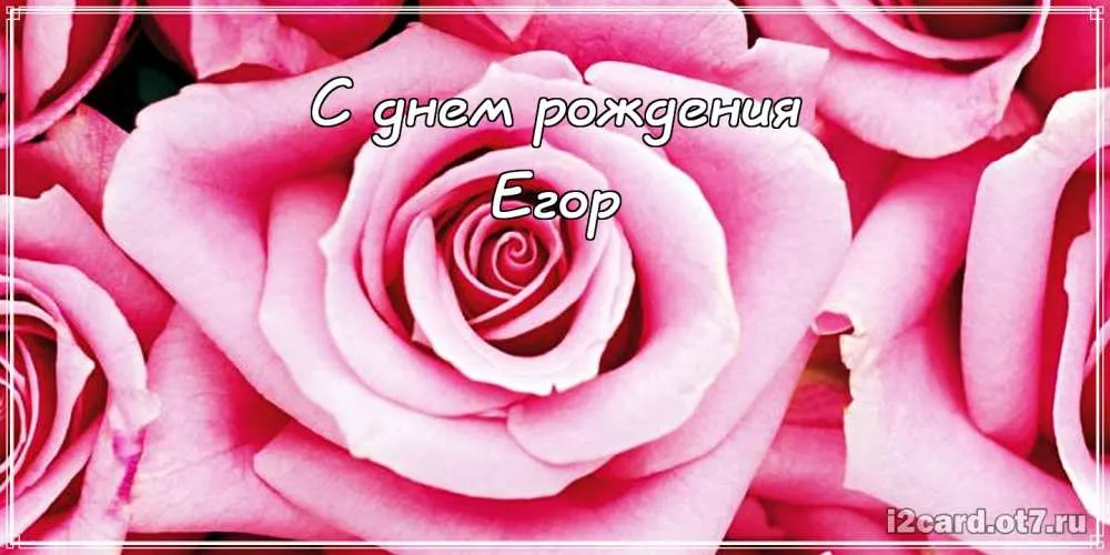 Открытка открытки с именем Егор - Розовые розы: открытка с днем рождения | Красивая открытка #279