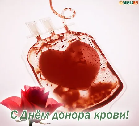 Открытка Открытки с Всемирным днем донора крови - Открытка с днем донора крови: красный пакет и роза | Красивая открытка #28