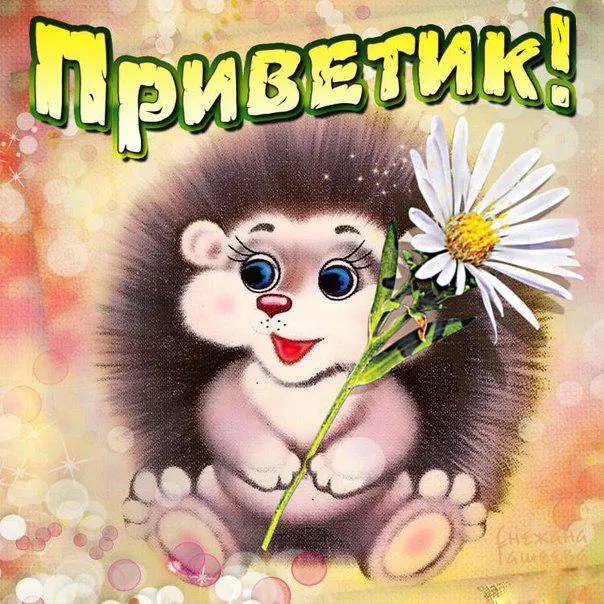 Открытка Привет - Открытка с ежиком и цветком: милая винтажная поздравительная открытка | Красивая открытка #50