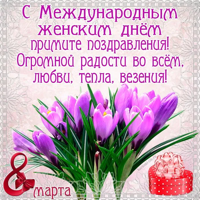 Открытка С крокусами - Открытка с тюльпанами и подарочной коробкой | Красивая открытка #50