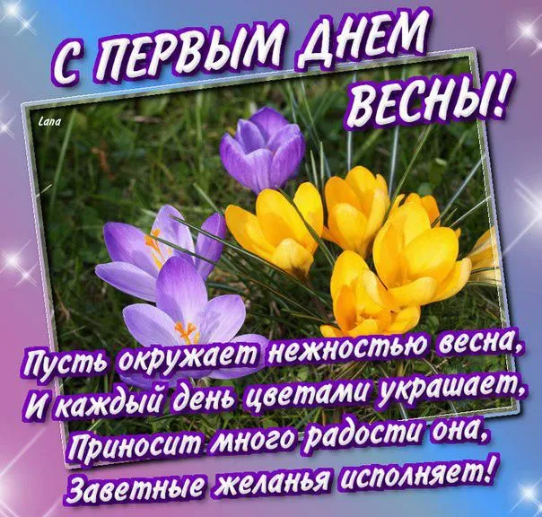 Открытка  С первым днем весны - Полевые цветы: весенняя открытка с пожеланиями | Красивая открытка #70