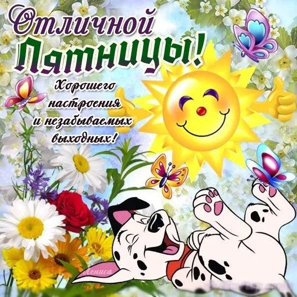 Открытка Открытки на пятницу - Открытка с щенком дальматинцем и ромашками | Красивая открытка #183