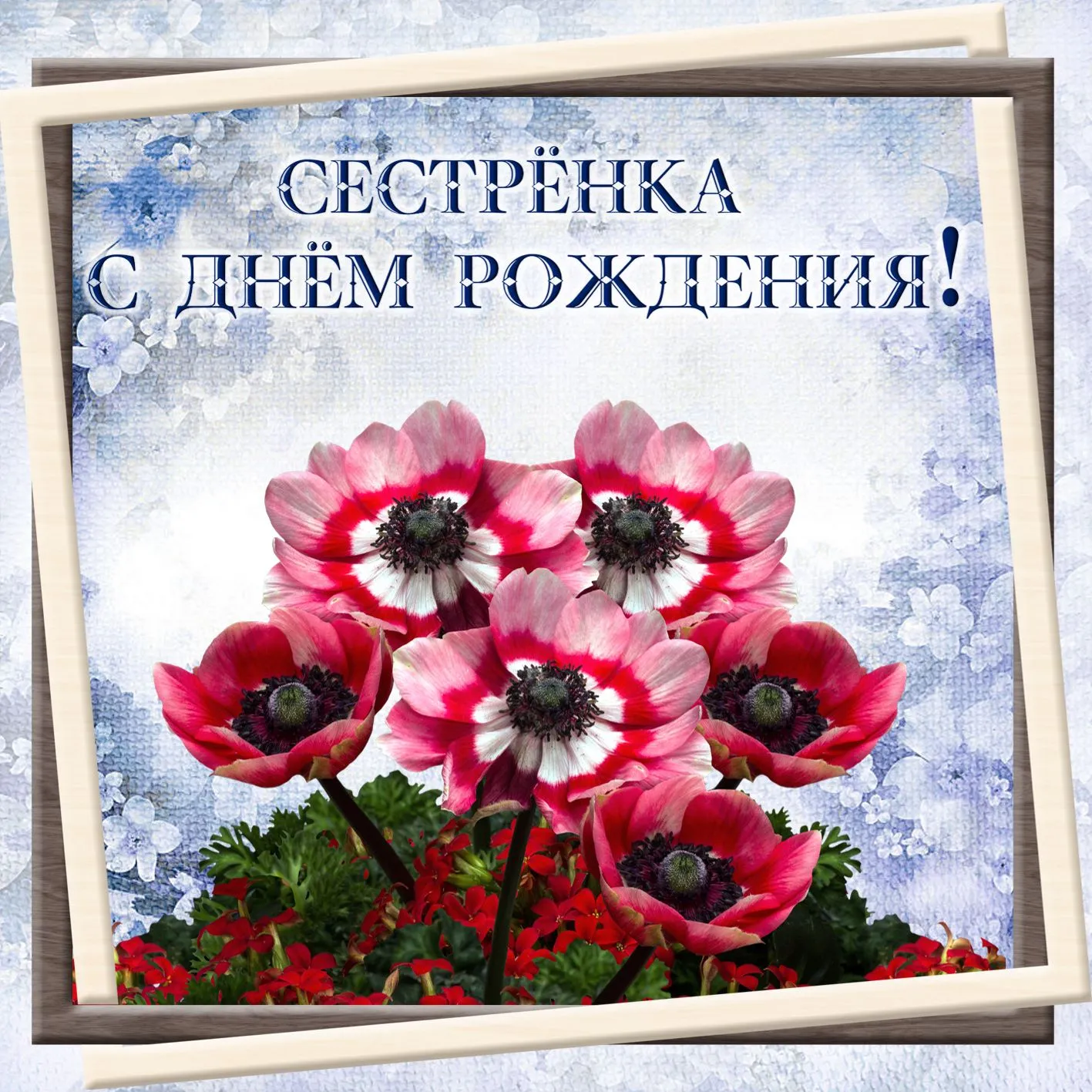 Открытка с днём рождения сестра - Поздравление с днем рождения: яркие герани | Красивая открытка #57