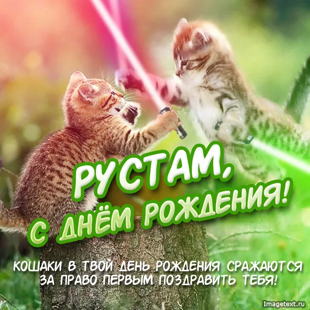 Открытка Открытки с именем Рустам - С Днем Рождения! Коты поздравляют  Открытка с котами | Красивая открытка #176