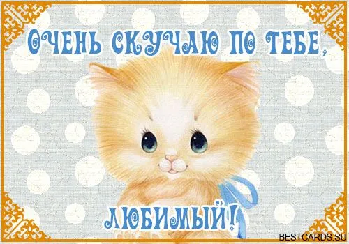 Открытка Открытки скучаю по тебе - Милый котёнок в бантике - открытка с котенком | Красивая открытка #172