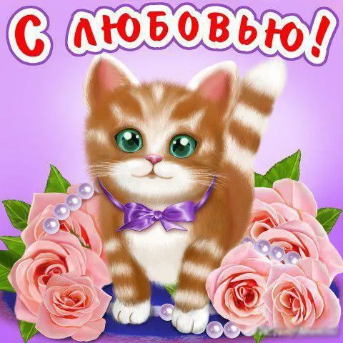 Открытка С любовью - Открытка с розовыми розами и котенком | Красивая открытка #22