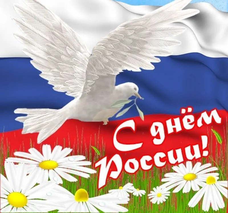 Открытка День России - Открытка с днем России: голубь, цветы, флаг | Красивая открытка #116