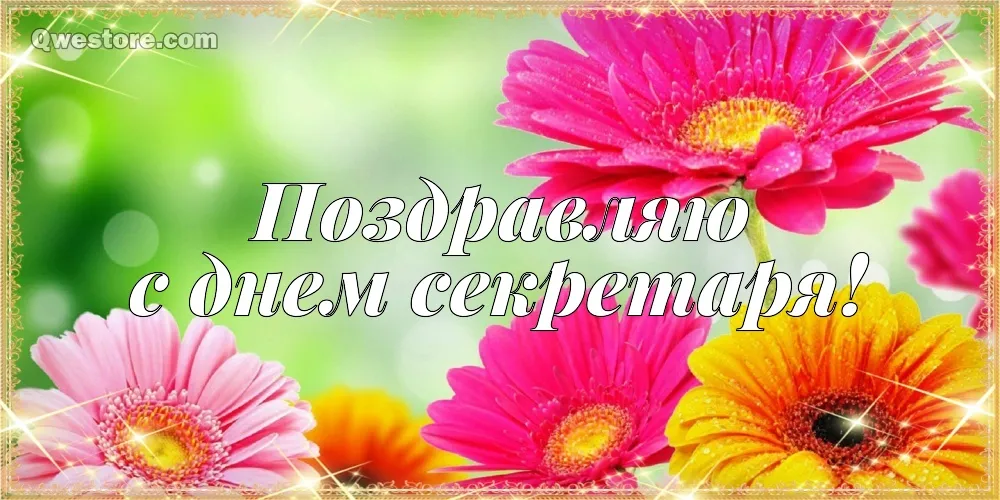 Открытка С днем секретаря - Открытка с цветами: хризантемы и розы | Красивая открытка #95