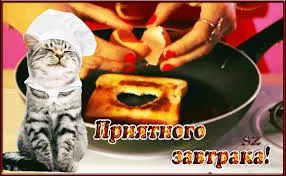 Открытка приятного аппетита - Приятного аппетита! Открытка с котом и завтраком | Красивая открытка #44